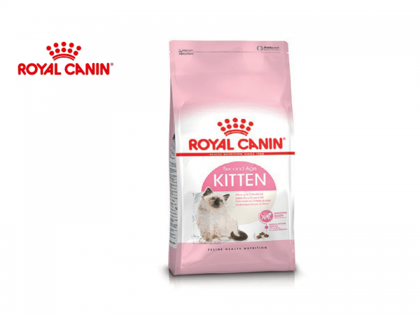 đồ ăn cho mèo royal canin kitten