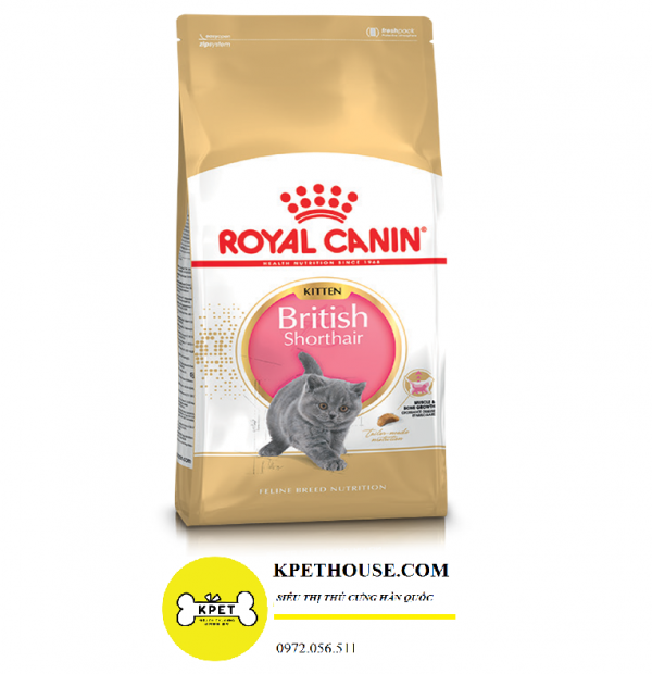 đồ ăn cho mèo Royal canin British Shorthair Kitten