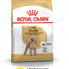 đồ ăn cho chó Poodle Royal canin