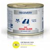 Royal canin recovery can
