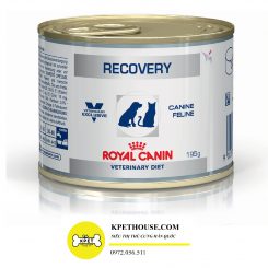 pate phục hồi sức khỏe cho chó Royal canin recovery can