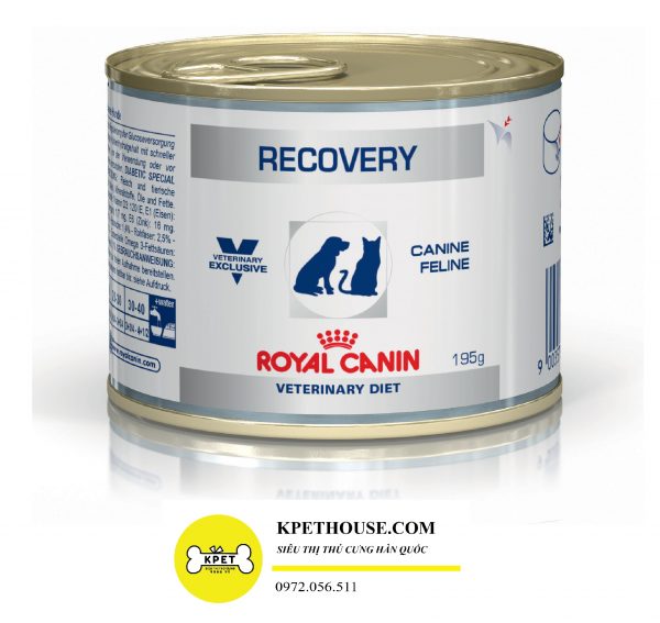 pate phục hồi sức khỏe cho chó Royal canin recovery can